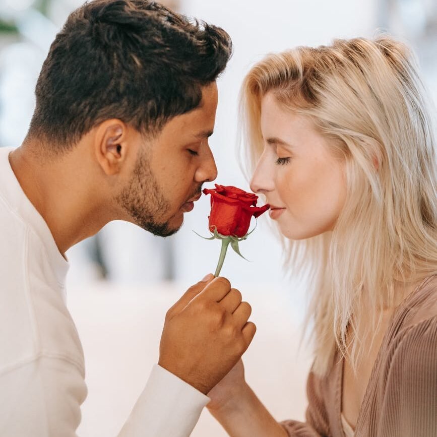 close up shot of a romantic couple holding a red rose flower